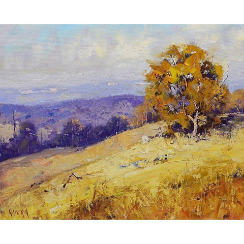 Sheep Grazing Australia Black Modern Wood Framed Art Print by Gercken, Graham