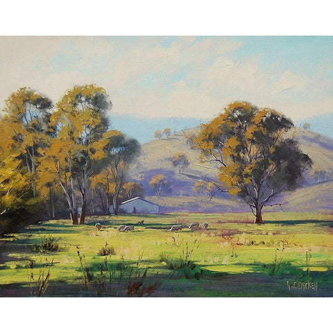 Sheep Farm Black Modern Wood Framed Art Print by Gercken, Graham