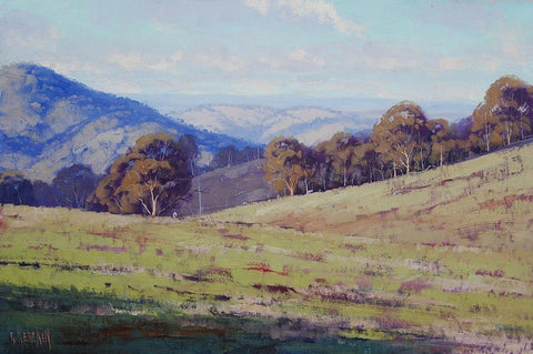 Sheep Country Australia White Modern Wood Framed Art Print with Double Matting by Gercken, Graham