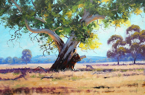 Red Gum Painting White Modern Wood Framed Art Print with Double Matting by Gercken, Graham