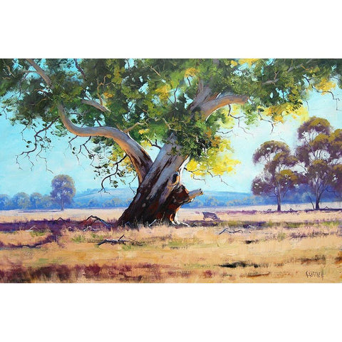 Red Gum Painting White Modern Wood Framed Art Print by Gercken, Graham