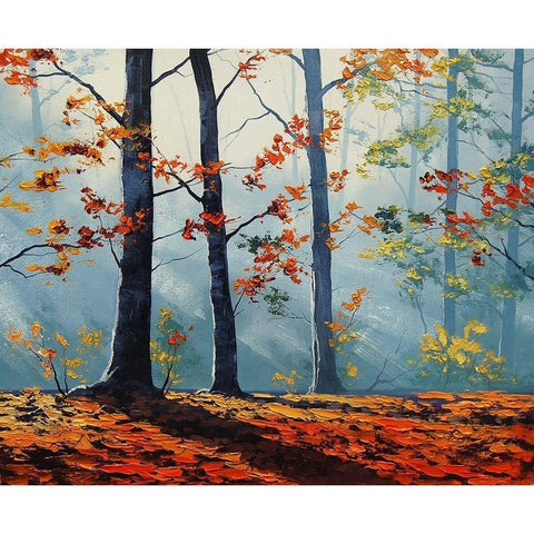 Rustic Autumn Colours Black Modern Wood Framed Art Print with Double Matting by Gercken, Graham