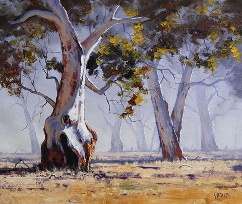 MÃ­sty Gums Australia White Modern Wood Framed Art Print with Double Matting by Gercken, Graham