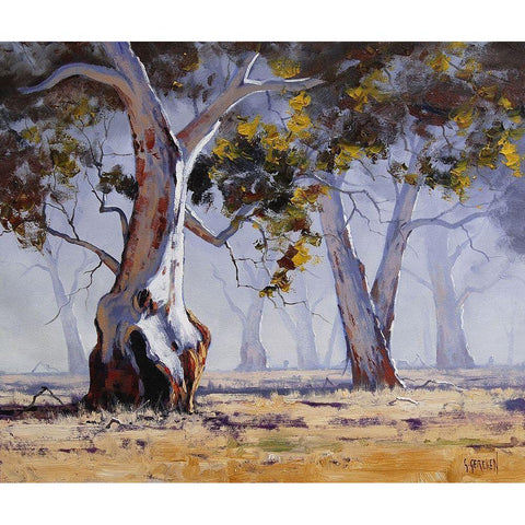 MÃ­sty Gums Australia Gold Ornate Wood Framed Art Print with Double Matting by Gercken, Graham