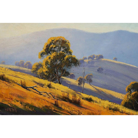 Megalong Morning Light Australia Gold Ornate Wood Framed Art Print with Double Matting by Gercken, Graham