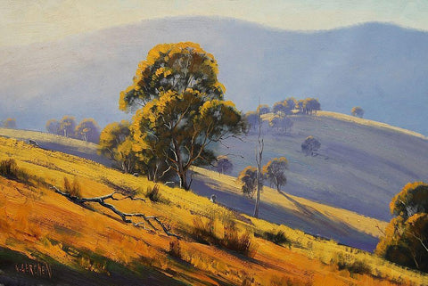 Megalong Morning Light Australia Black Ornate Wood Framed Art Print with Double Matting by Gercken, Graham