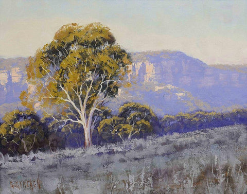 Mountain Gum Trees White Modern Wood Framed Art Print with Double Matting by Gercken, Graham