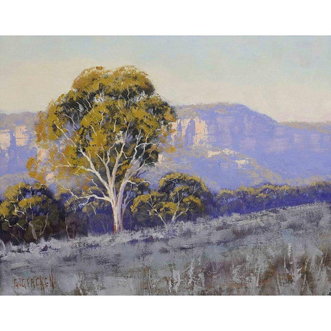 Mountain Gum Trees White Modern Wood Framed Art Print by Gercken, Graham