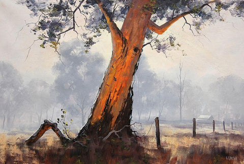 Eucalyptus Tree Paintings Black Ornate Wood Framed Art Print with Double Matting by Gercken, Graham