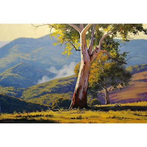 Koala Gum Tree Gold Ornate Wood Framed Art Print with Double Matting by Gercken, Graham