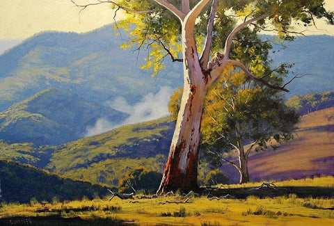 Koala Gum Tree Black Ornate Wood Framed Art Print with Double Matting by Gercken, Graham