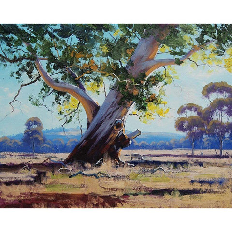 Old River Gum Tree Black Modern Wood Framed Art Print by Gercken, Graham