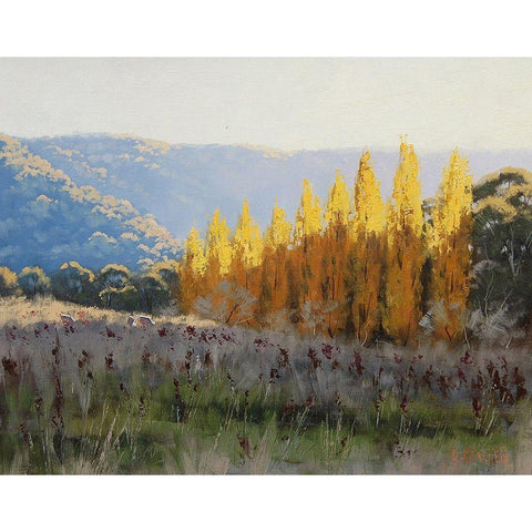 Popular Trees Black Modern Wood Framed Art Print with Double Matting by Gercken, Graham