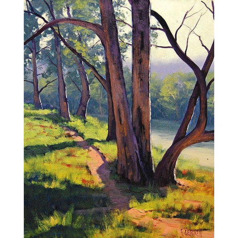 Coxs River Trees Gold Ornate Wood Framed Art Print with Double Matting by Gercken, Graham