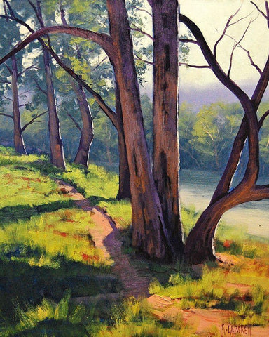 Coxs River Trees White Modern Wood Framed Art Print with Double Matting by Gercken, Graham