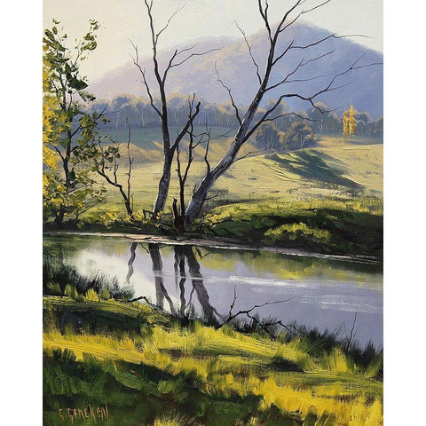 Fish River Reflections Black Modern Wood Framed Art Print by Gercken, Graham