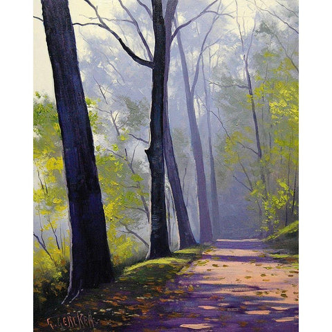 Forest Trail Black Modern Wood Framed Art Print by Gercken, Graham