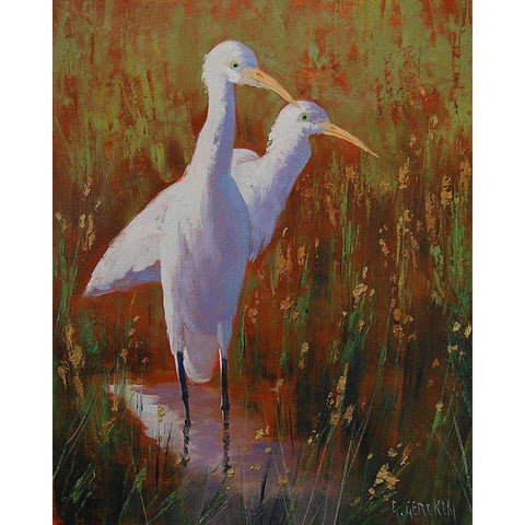 Herod Bird Prints Black Modern Wood Framed Art Print with Double Matting by Gercken, Graham