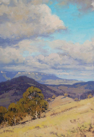 Megalong Valley White Modern Wood Framed Art Print with Double Matting by Gercken, Graham