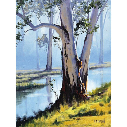 River Gum Black Modern Wood Framed Art Print by Gercken, Graham