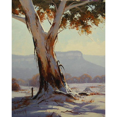 Snow Gum Prints White Modern Wood Framed Art Print by Gercken, Graham