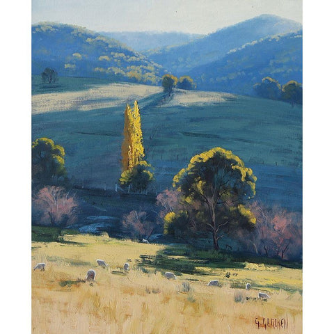 Tarama Sheep Farm Australia Gold Ornate Wood Framed Art Print with Double Matting by Gercken, Graham