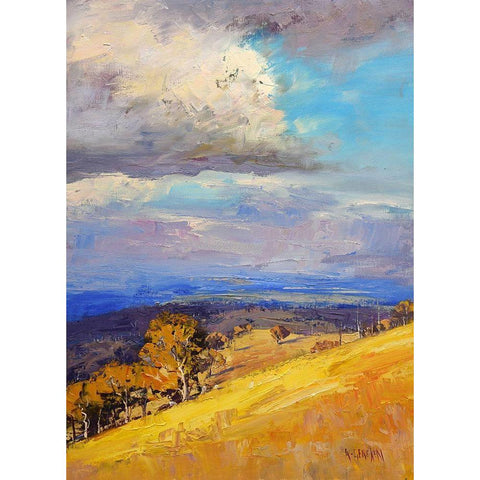 Valley Clouds Kinimbla Black Modern Wood Framed Art Print by Gercken, Graham
