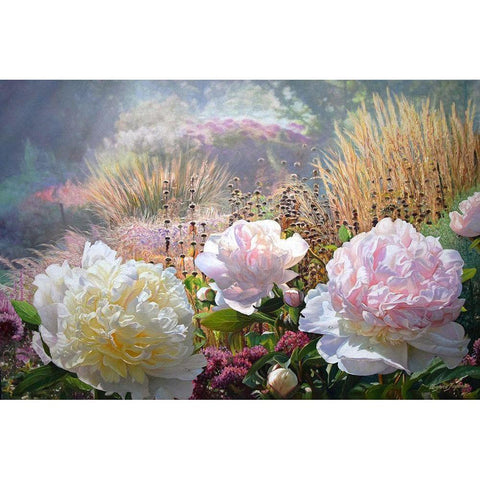 Three Peonies Black Modern Wood Framed Art Print with Double Matting by Kopania, Zbigniew