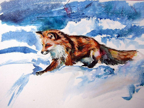 Red Fox in Snow Black Ornate Wood Framed Art Print with Double Matting by Kovacs, Anna Brigite