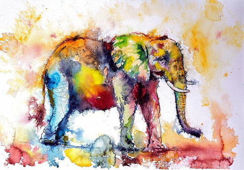 Colorful Elephant II Black Ornate Wood Framed Art Print with Double Matting by Kovacs, Anna Brigite