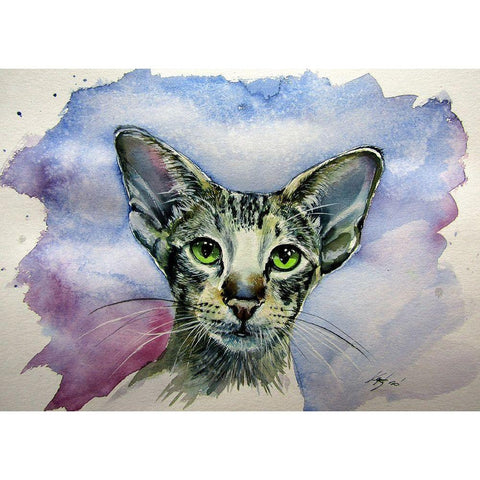 Siamese Oriental Cat White Modern Wood Framed Art Print by Kovacs, Anna Brigite