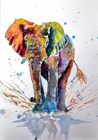 Cute Colorful Elephant White Modern Wood Framed Art Print with Double Matting by Kovacs, Anna Brigite