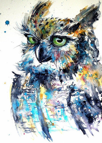 Owl II White Modern Wood Framed Art Print with Double Matting by Kovacs, Anna Brigite