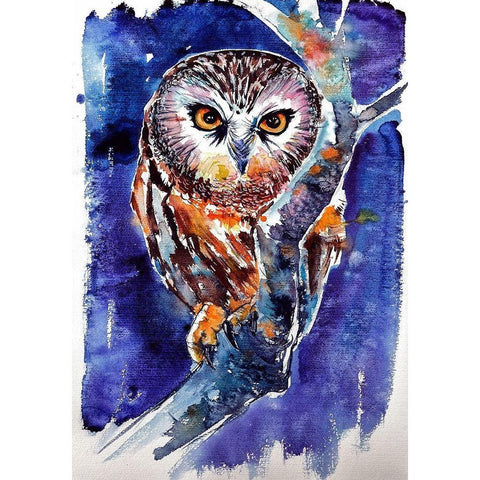 Owl at Night Black Modern Wood Framed Art Print with Double Matting by Kovacs, Anna Brigite