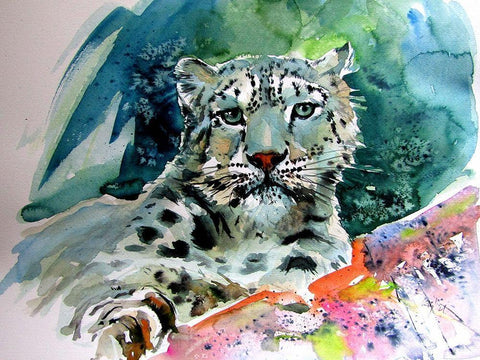 Snow Leopard White Modern Wood Framed Art Print with Double Matting by Kovacs, Anna Brigite