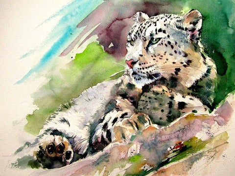 Snow Leopard II Black Ornate Wood Framed Art Print with Double Matting by Kovacs, Anna Brigite