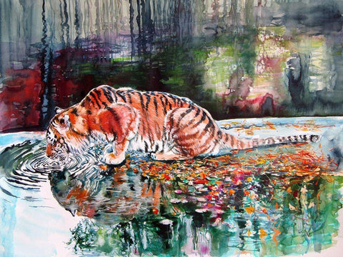 Tiger Drinking Black Ornate Wood Framed Art Print with Double Matting by Kovacs, Anna Brigite