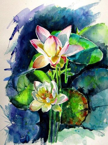 Water Lilly Black Ornate Wood Framed Art Print with Double Matting by Kovacs, Anna Brigite