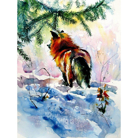 Red Fox White Modern Wood Framed Art Print by Kovacs, Anna Brigite