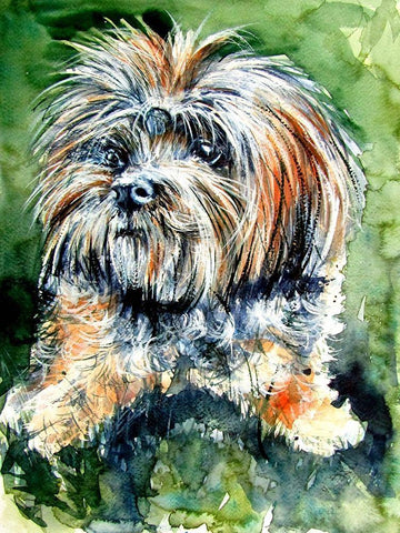 Cute Dog Black Ornate Wood Framed Art Print with Double Matting by Kovacs, Anna Brigite