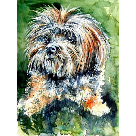 Cute Dog Black Modern Wood Framed Art Print with Double Matting by Kovacs, Anna Brigite