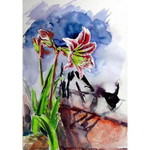 Amaryllis Black Modern Wood Framed Art Print with Double Matting by Kovacs, Anna Brigite