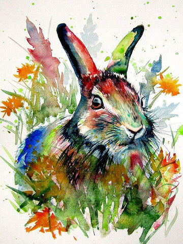 Rabbit in the Grass Black Ornate Wood Framed Art Print with Double Matting by Kovacs, Anna Brigite