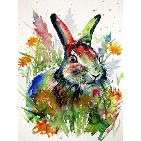 Rabbit in the Grass Black Modern Wood Framed Art Print by Kovacs, Anna Brigite