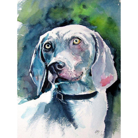 Weimaraner Retriever White Modern Wood Framed Art Print by Kovacs, Anna Brigite