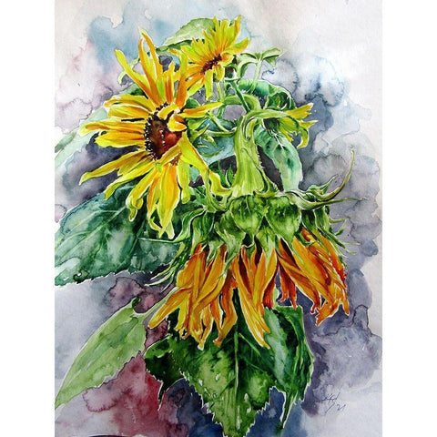 Sunflowers Black Modern Wood Framed Art Print with Double Matting by Kovacs, Anna Brigite