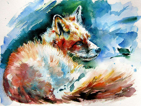 Red Fox Resting White Modern Wood Framed Art Print with Double Matting by Kovacs, Anna Brigite