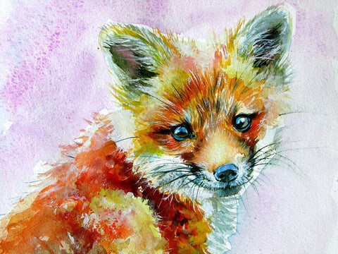 Face of Fox White Modern Wood Framed Art Print with Double Matting by Kovacs, Anna Brigite