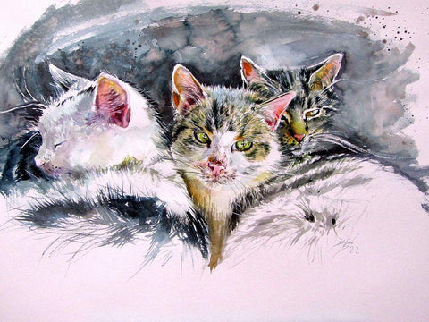 Our Cats White Modern Wood Framed Art Print with Double Matting by Kovacs, Anna Brigite