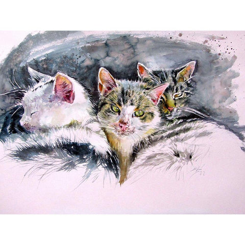 Our Cats White Modern Wood Framed Art Print by Kovacs, Anna Brigite